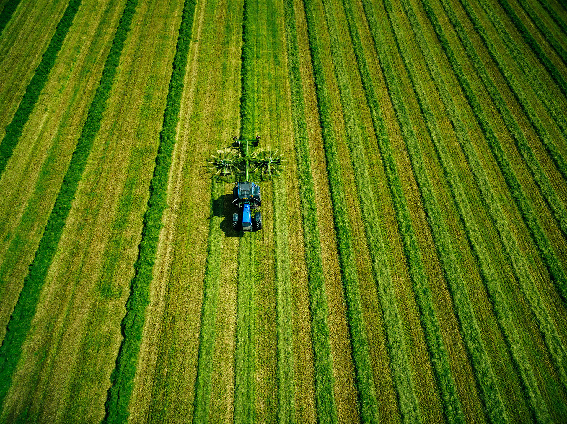 Aerial farm mapping
